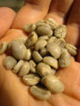 Weight Loss Green Coffee Bean Extract 700.jpg